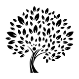 Mindful Beginnings